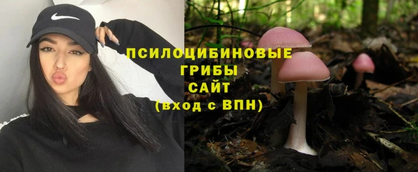 PSILOCYBIN Богородицк