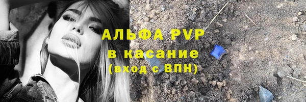 молекула духа Богородск