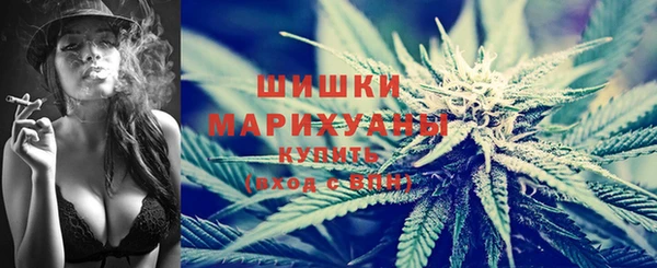 PSILOCYBIN Богородицк