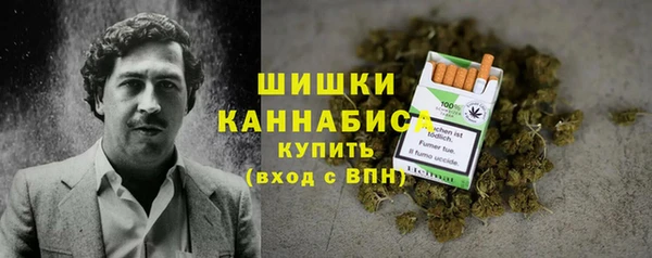 молекула духа Богородск