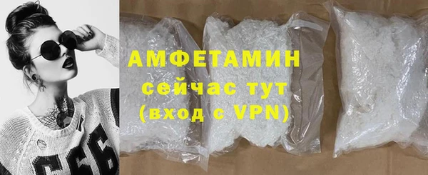 молекула духа Богородск